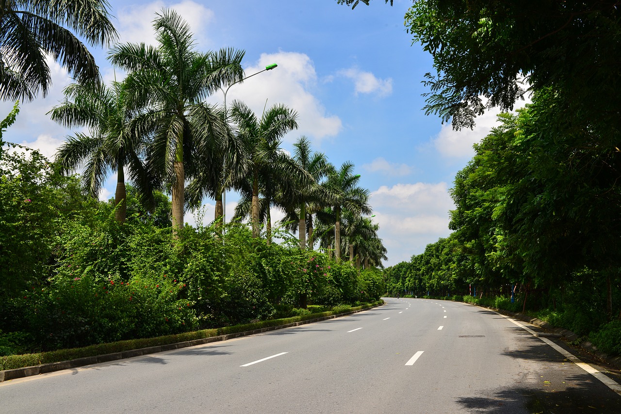 road ecopark autumn free photo