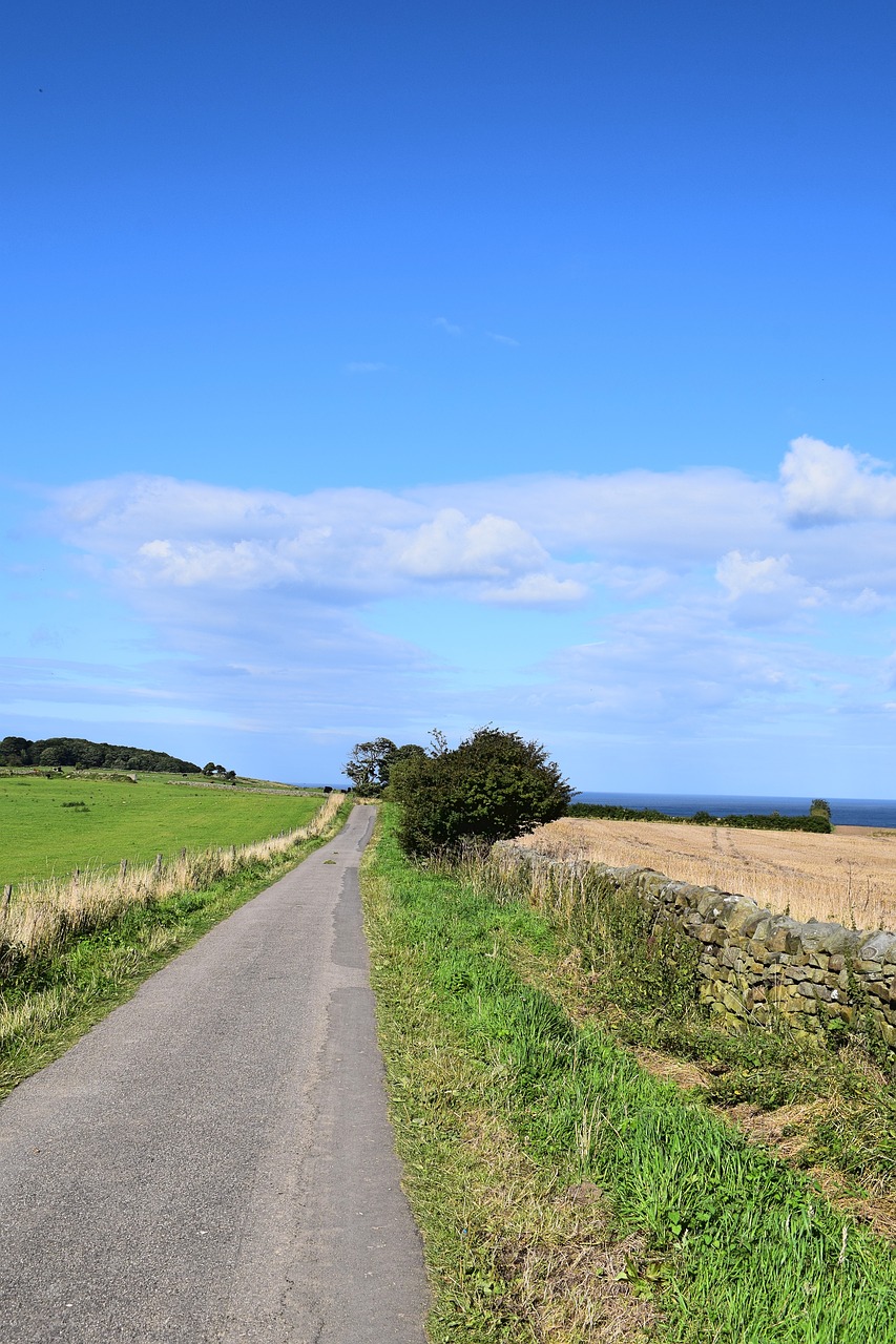 road yorkshire nature free photo