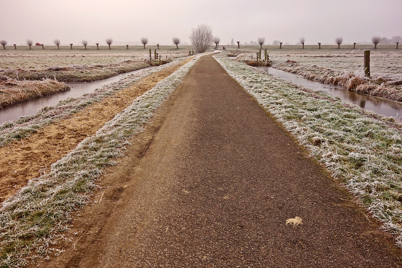 road country road bollards free photo