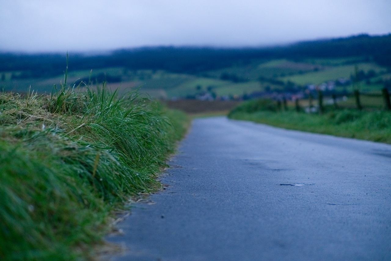 road haze fog free photo