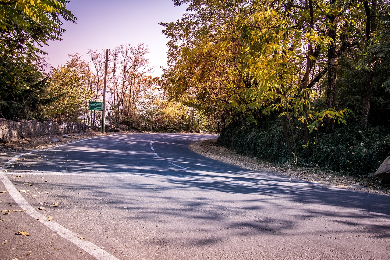 road mountain autumn free photo