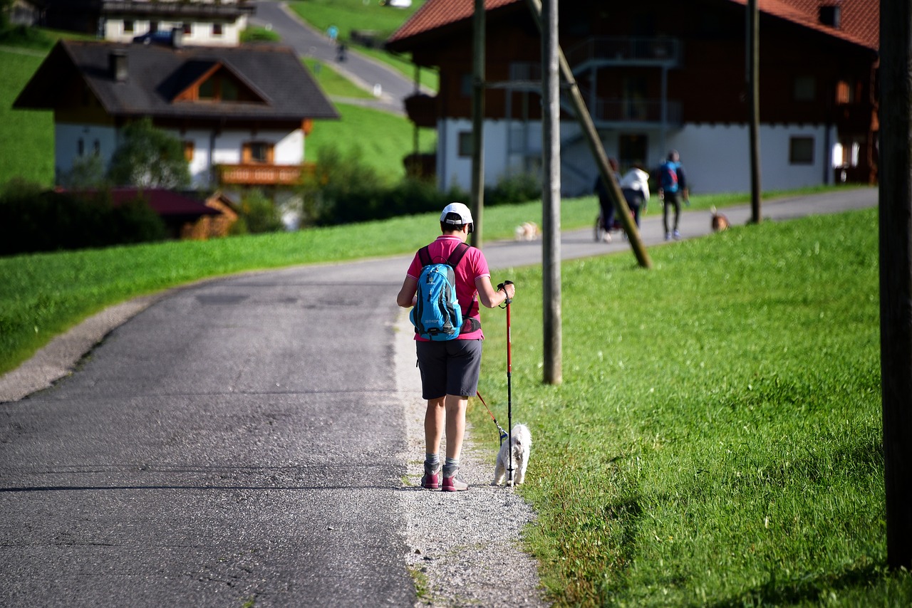 road walk mountain free photo