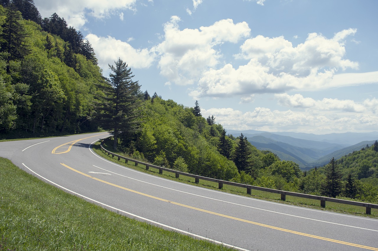 road nature tree free photo