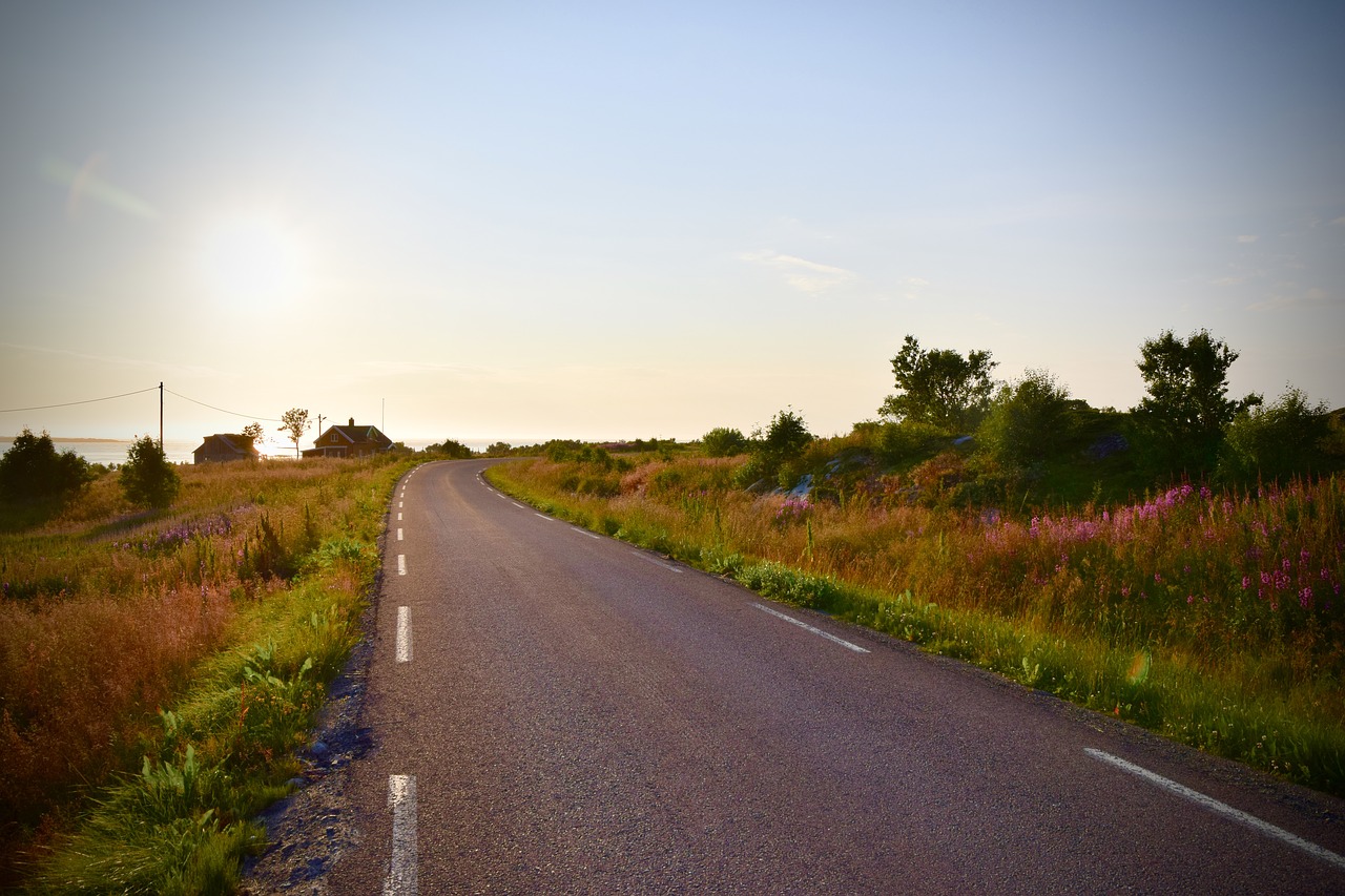 road nature grass free photo