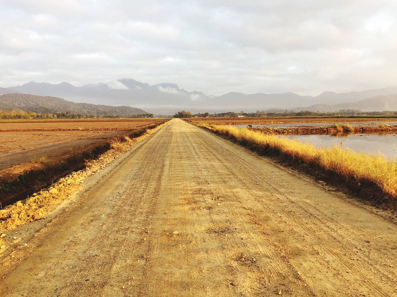 road landscape nature free photo