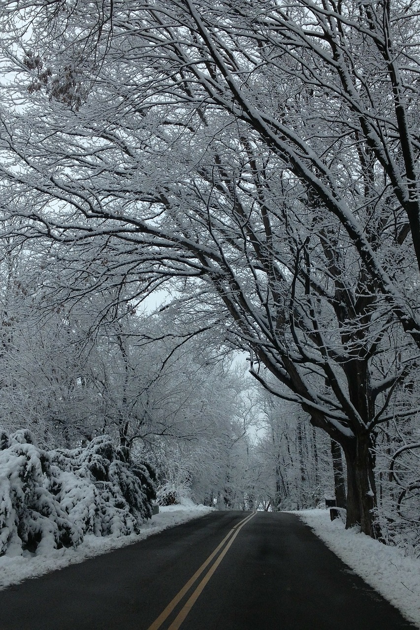 road journey snow free photo