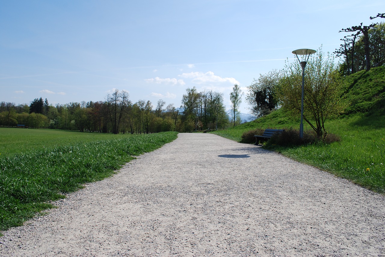 road  grass  nature free photo