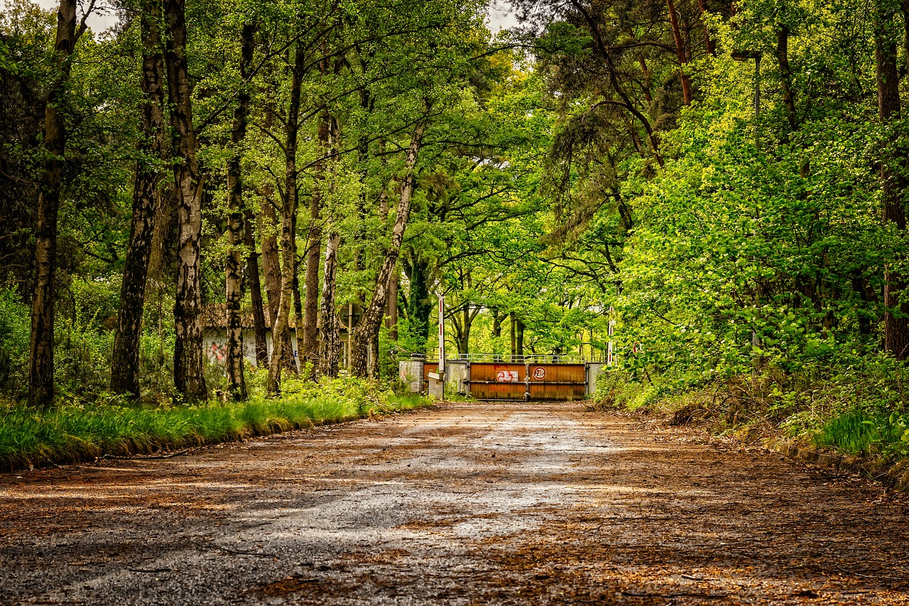 road  away  lost places free photo