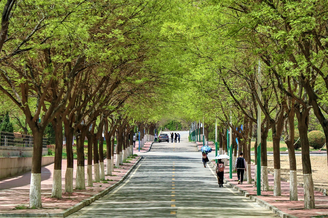 road  campus  china free photo