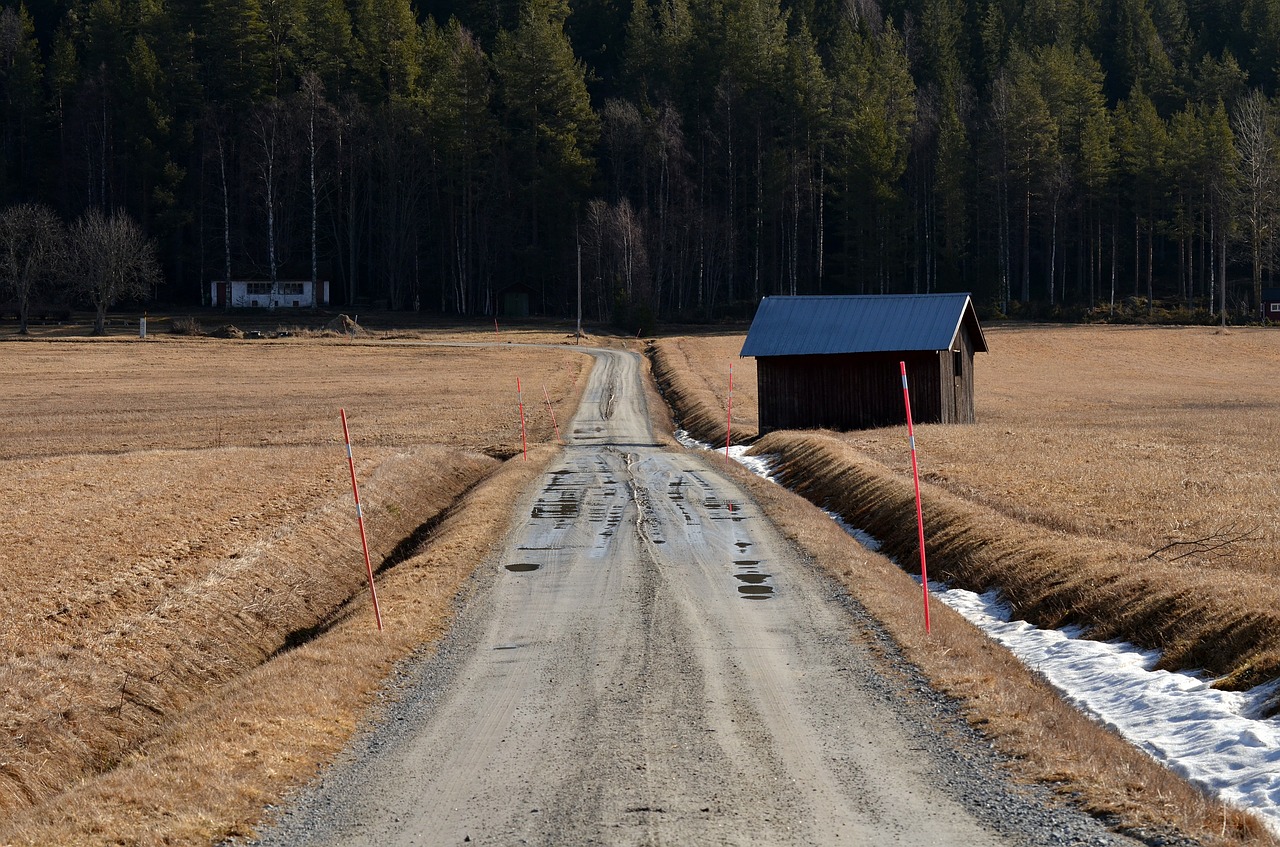 road landscapes nature free photo