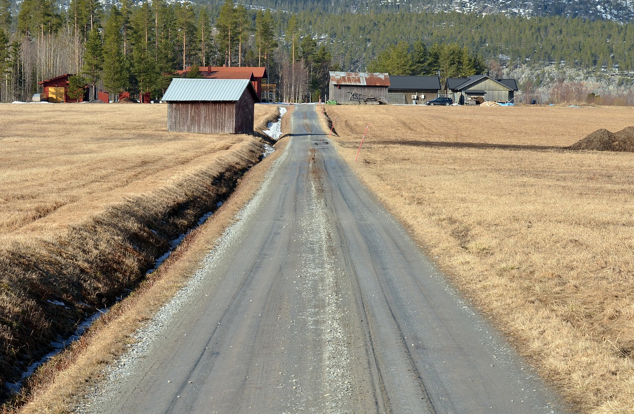 road landscapes nature free photo