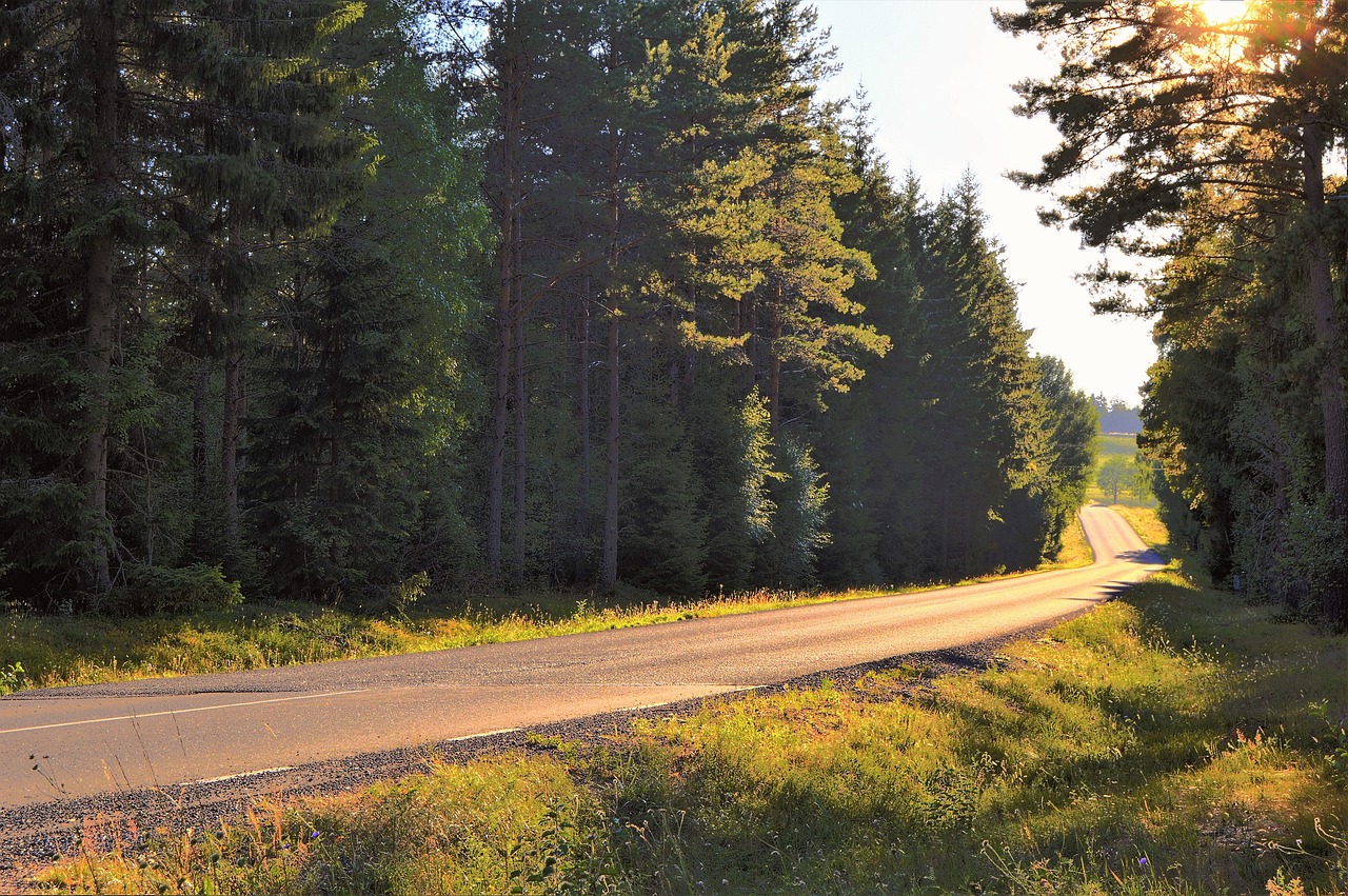 road  summer  sunset free photo