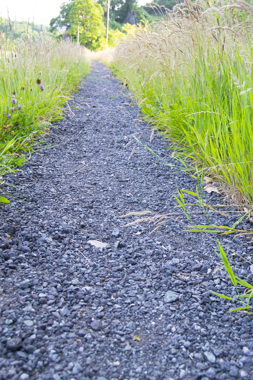 road nature walk free photo