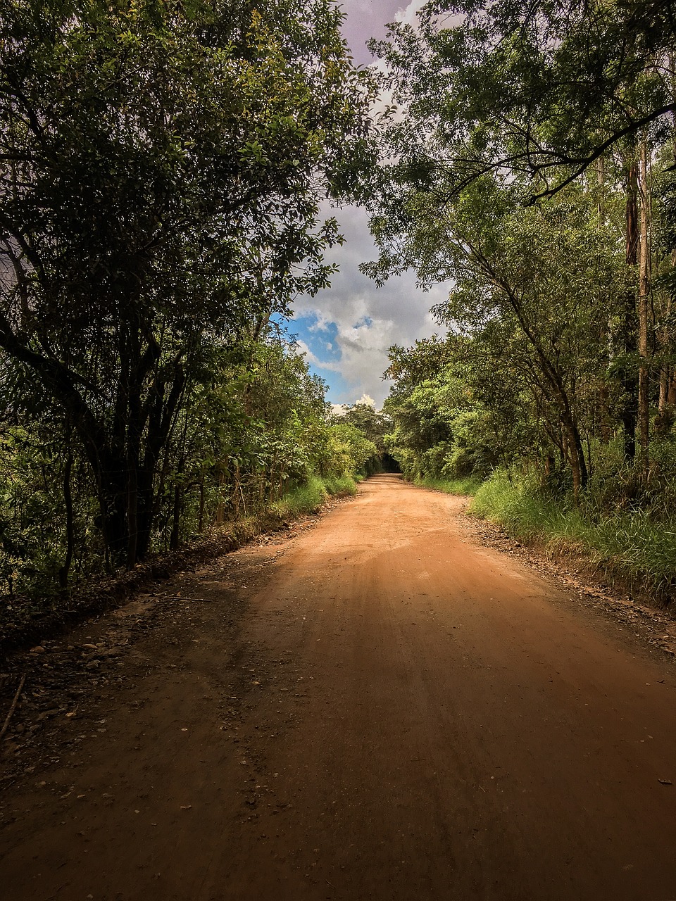 road  earth  green free photo