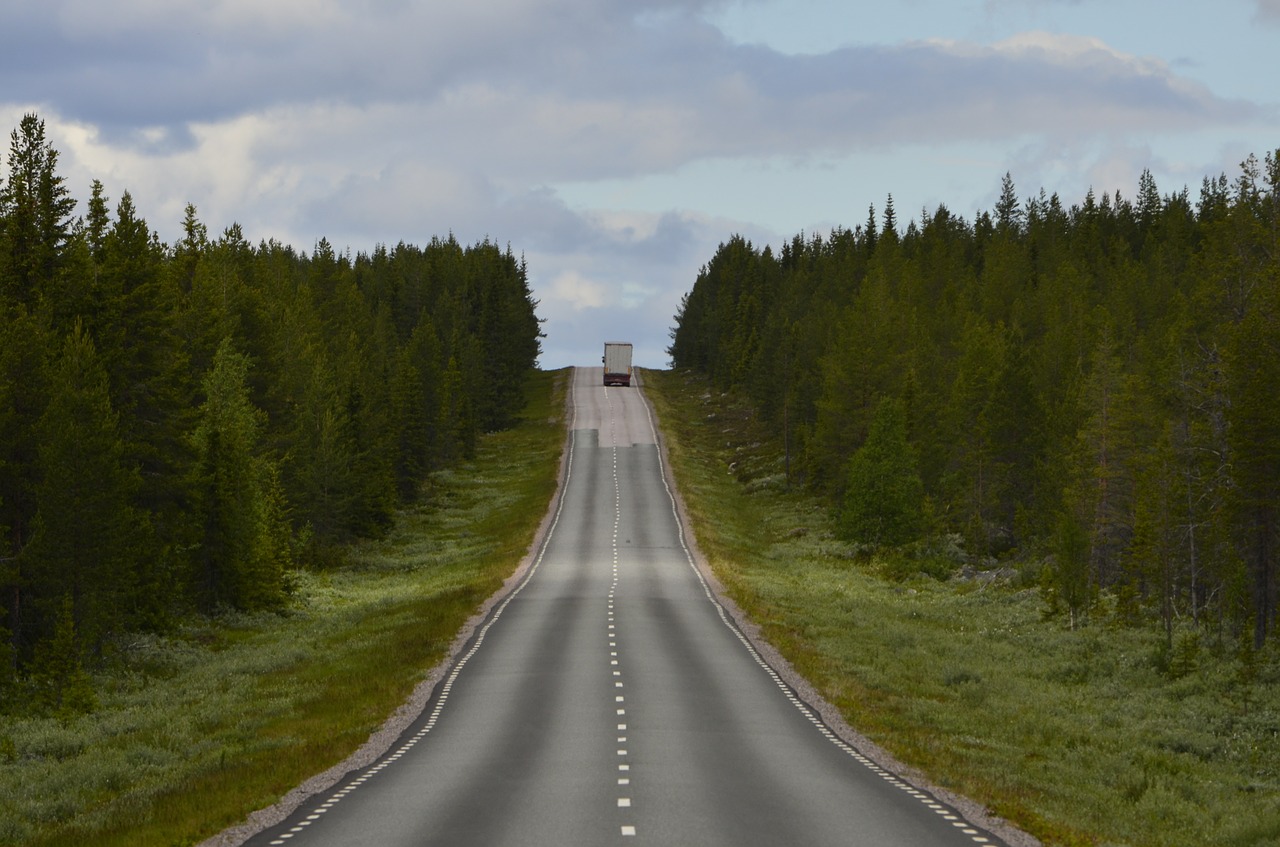 road truck forest free photo