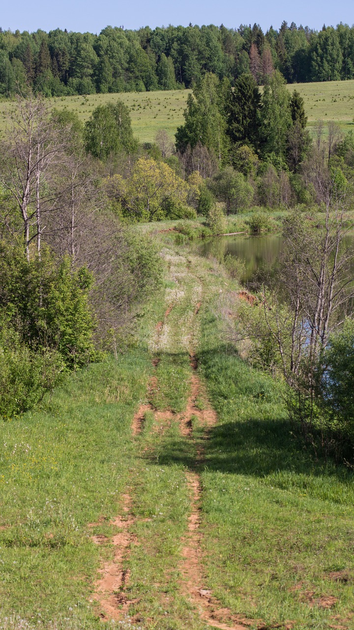 road trail grass free photo