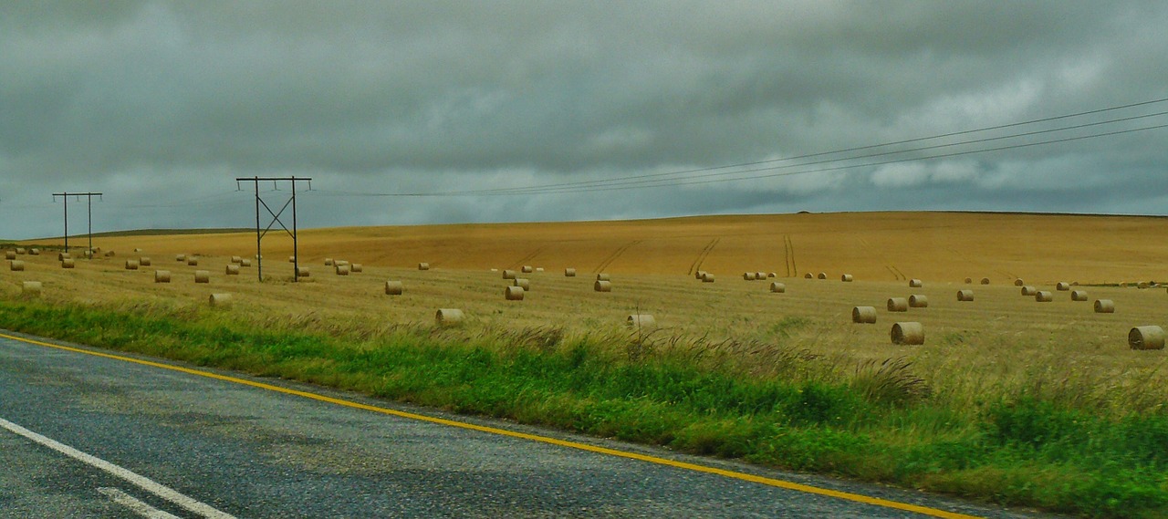 road landscape hay bales free photo