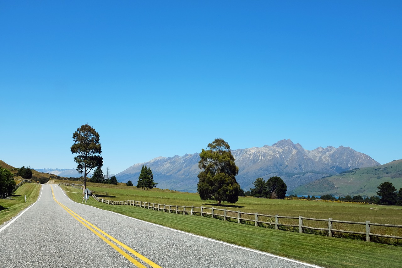 road  landscape  nature free photo