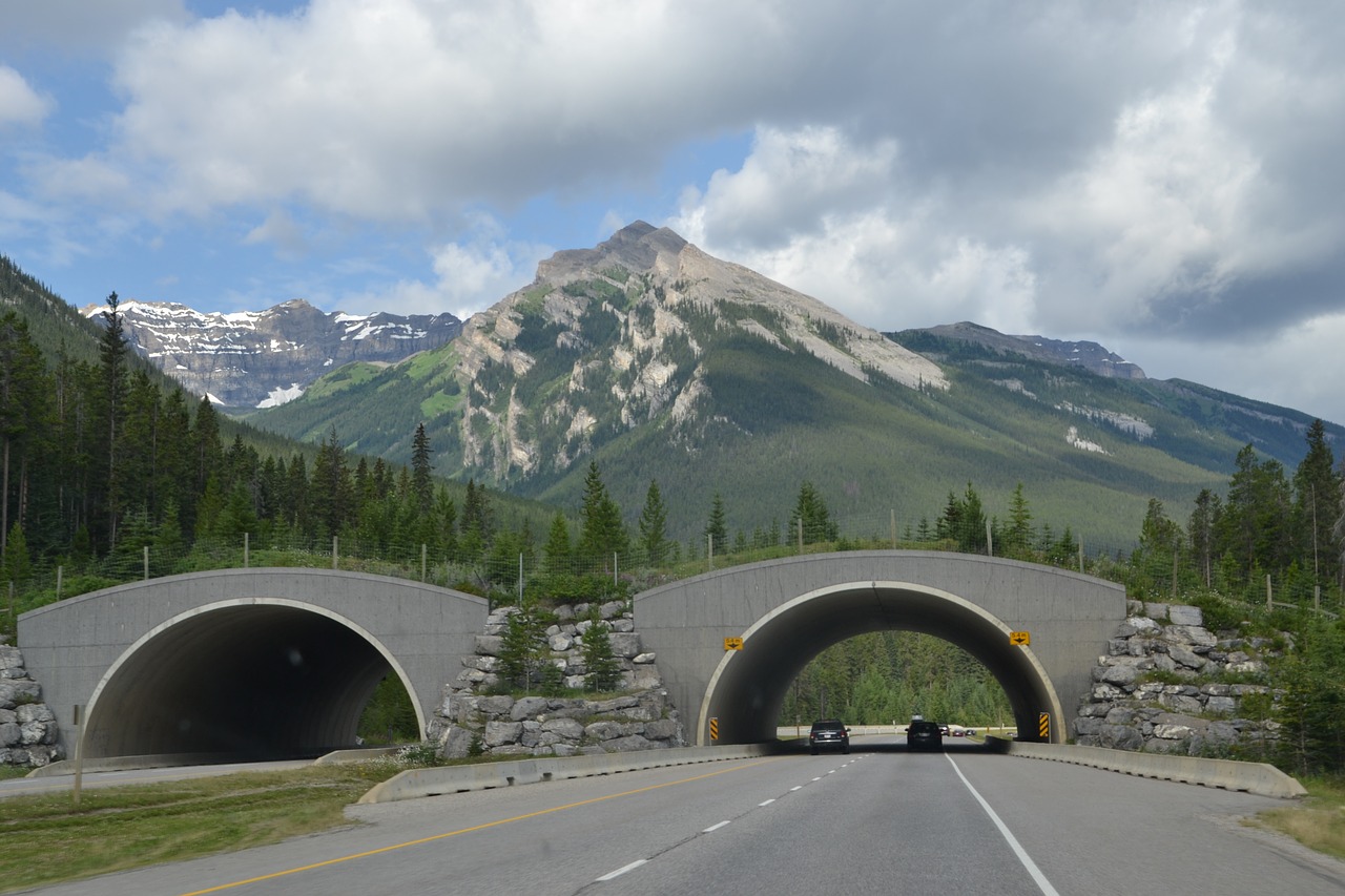 road  tunnel  passage free photo