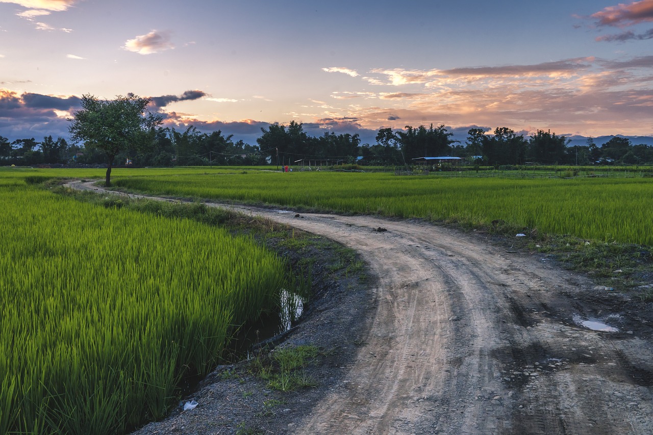 road  village  landscape free photo