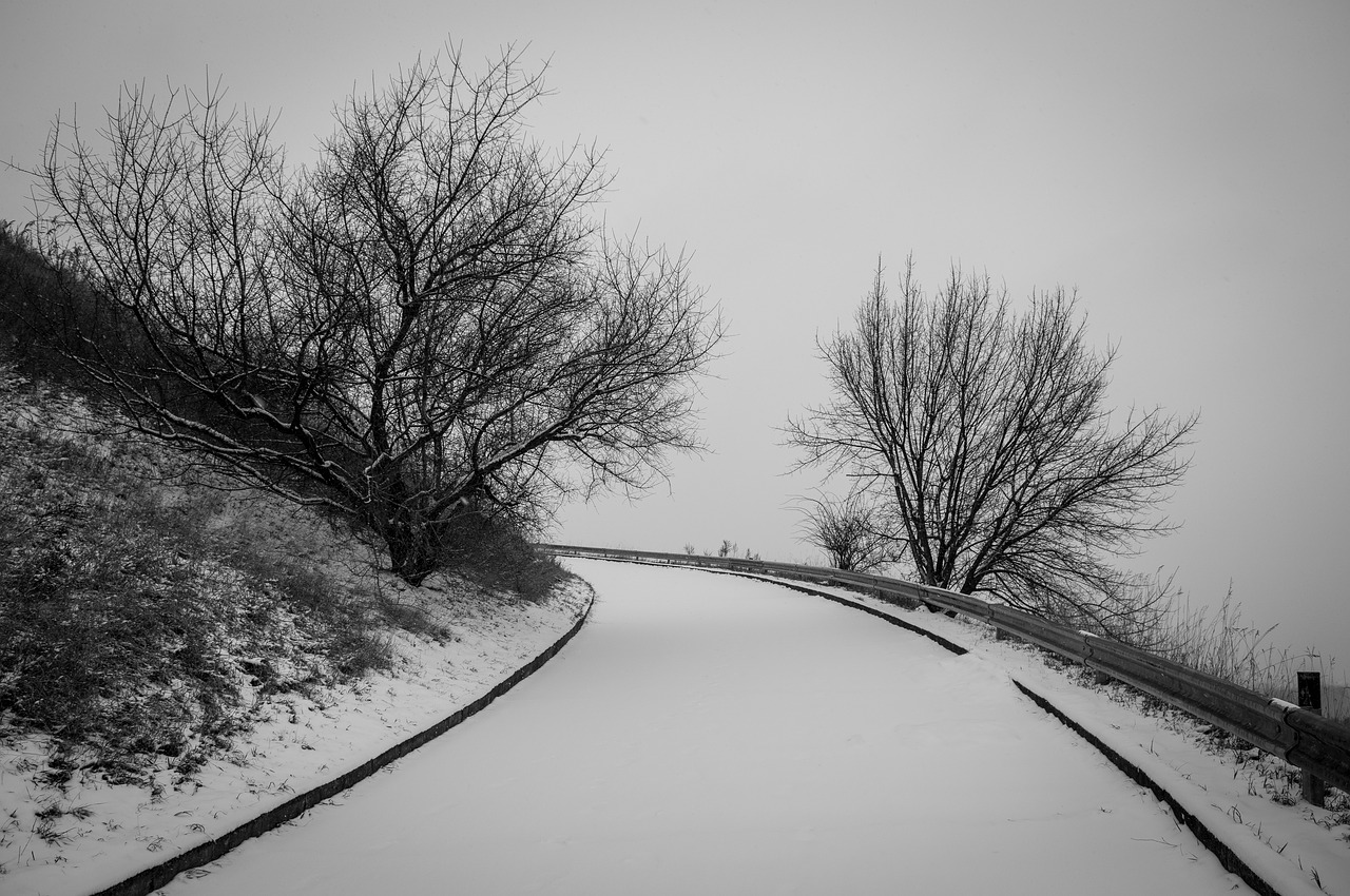 Road, winter, hill, snow, landscape - free image from needpix.com