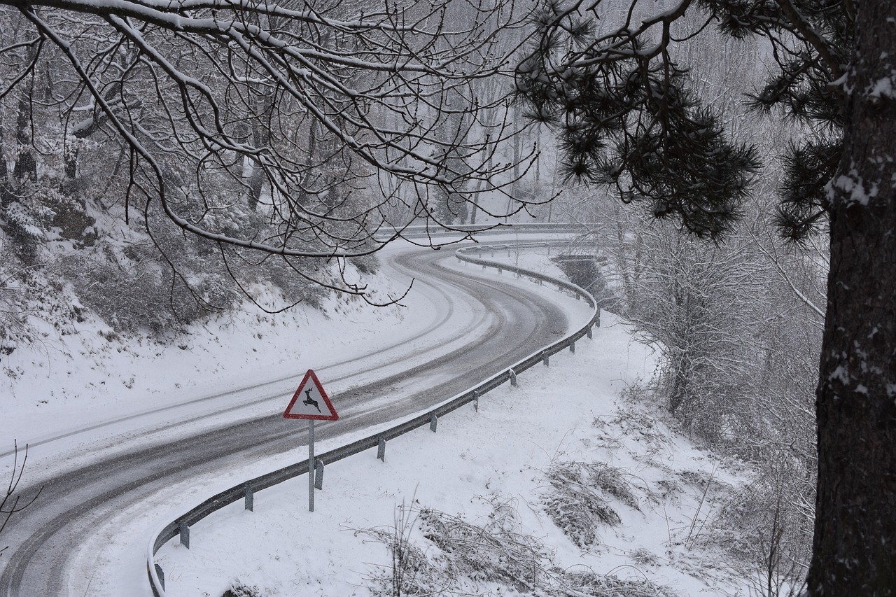 road  landscape  snow free photo