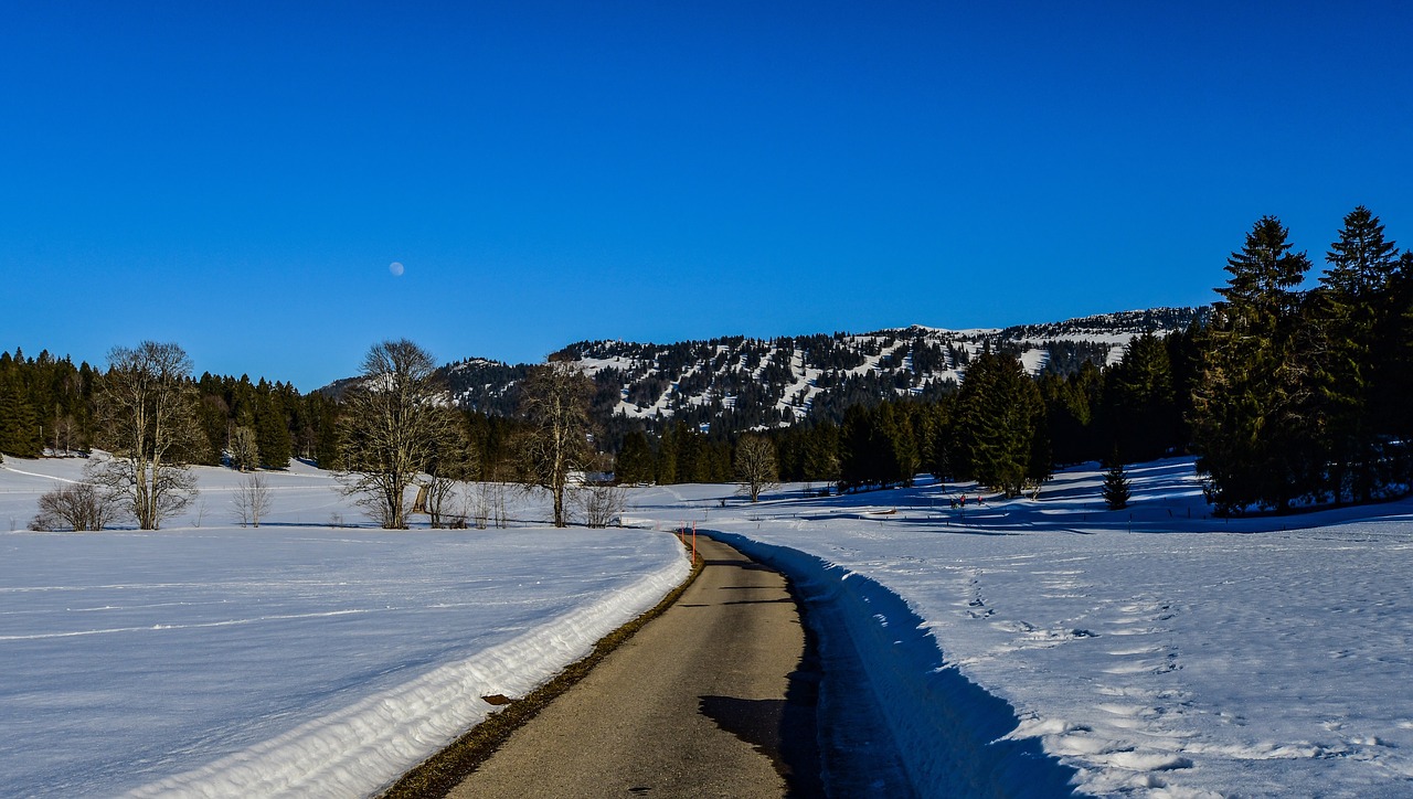 road  snow  winter free photo