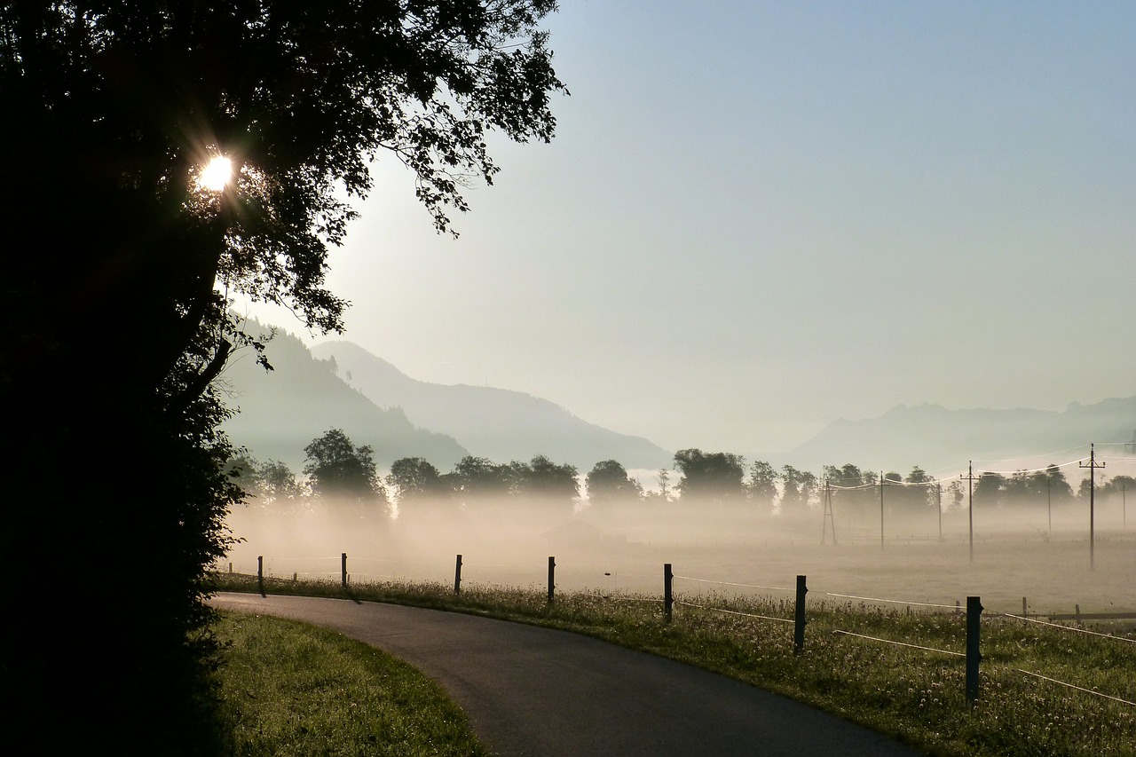 road infrastructure fog free photo