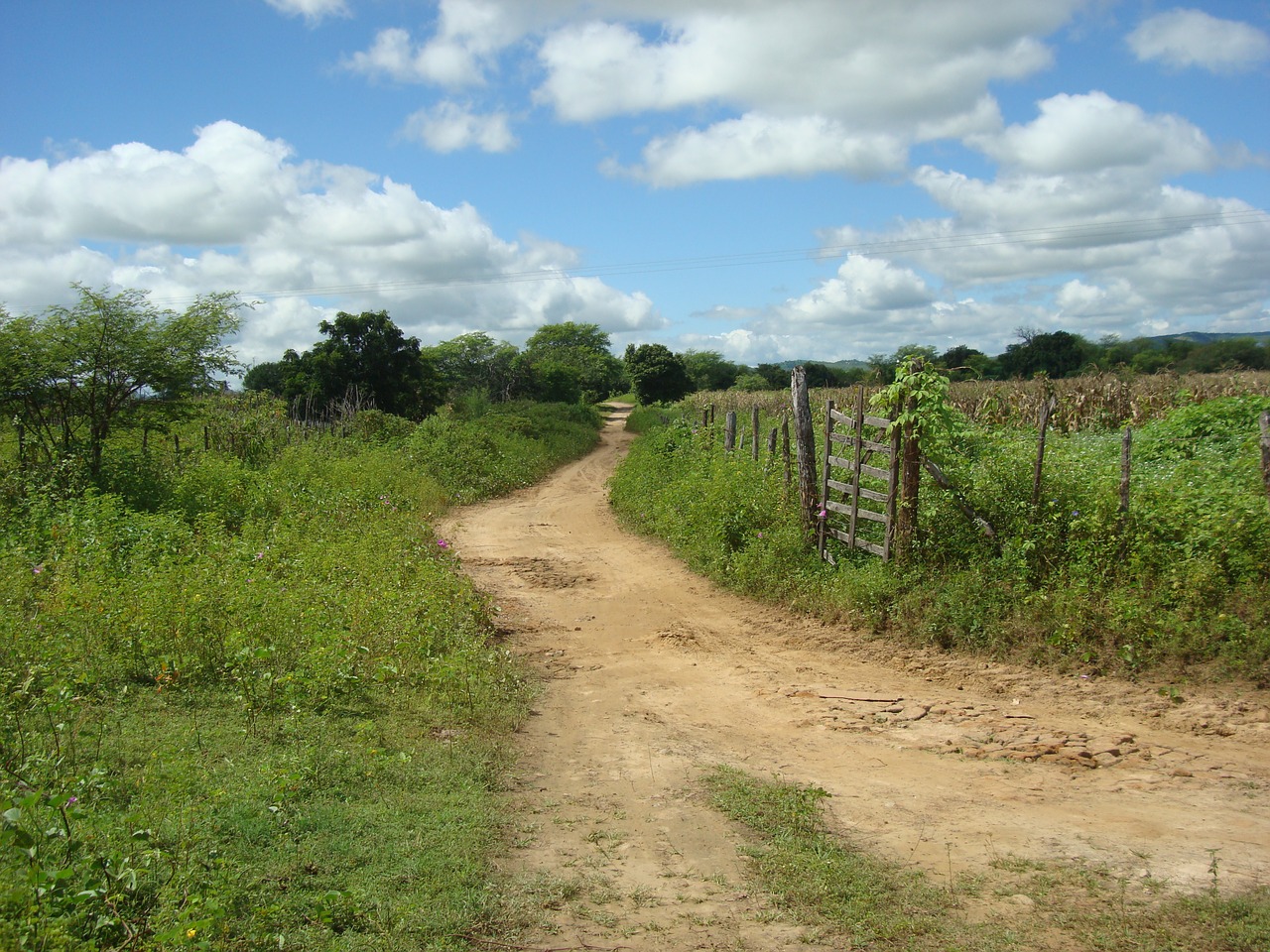 road rural uiraúna-pb free photo