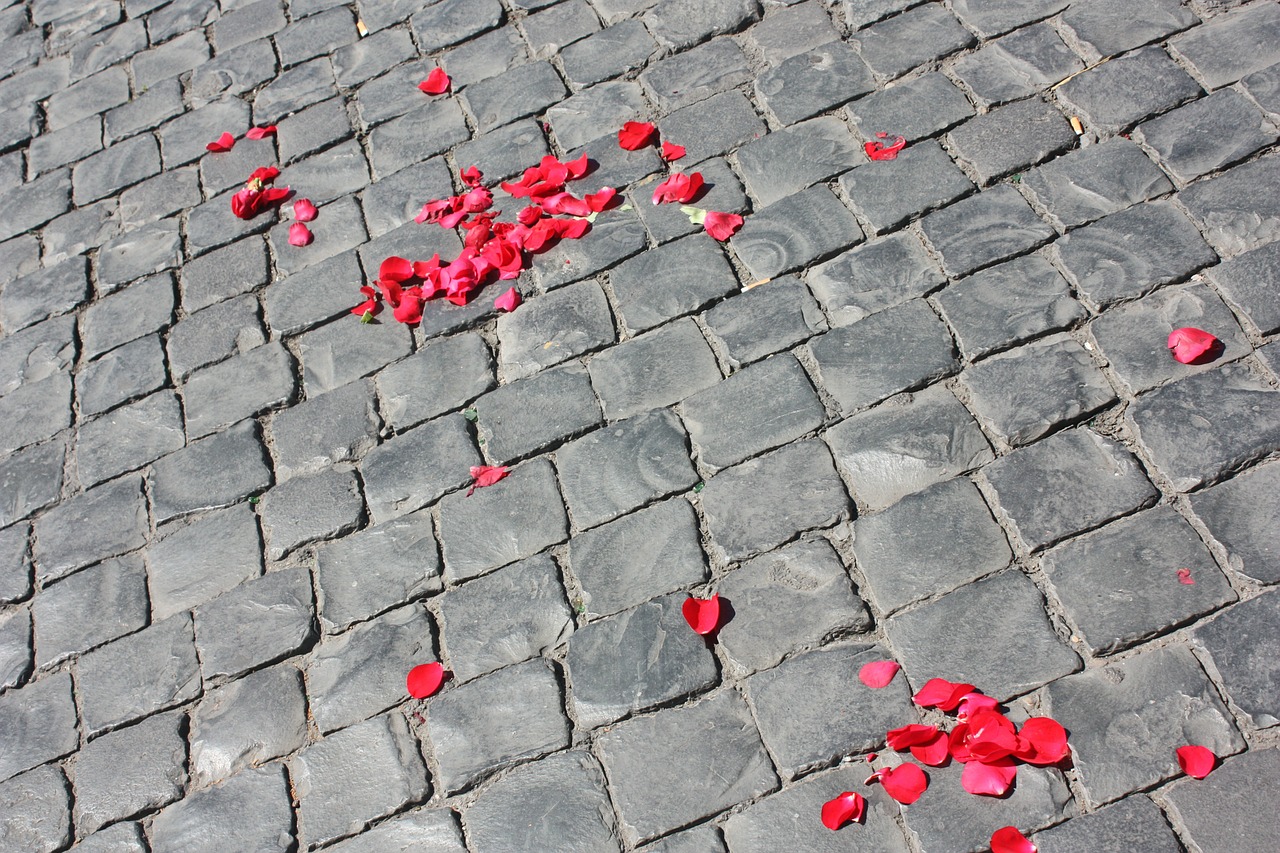 road paved petals of roses free photo