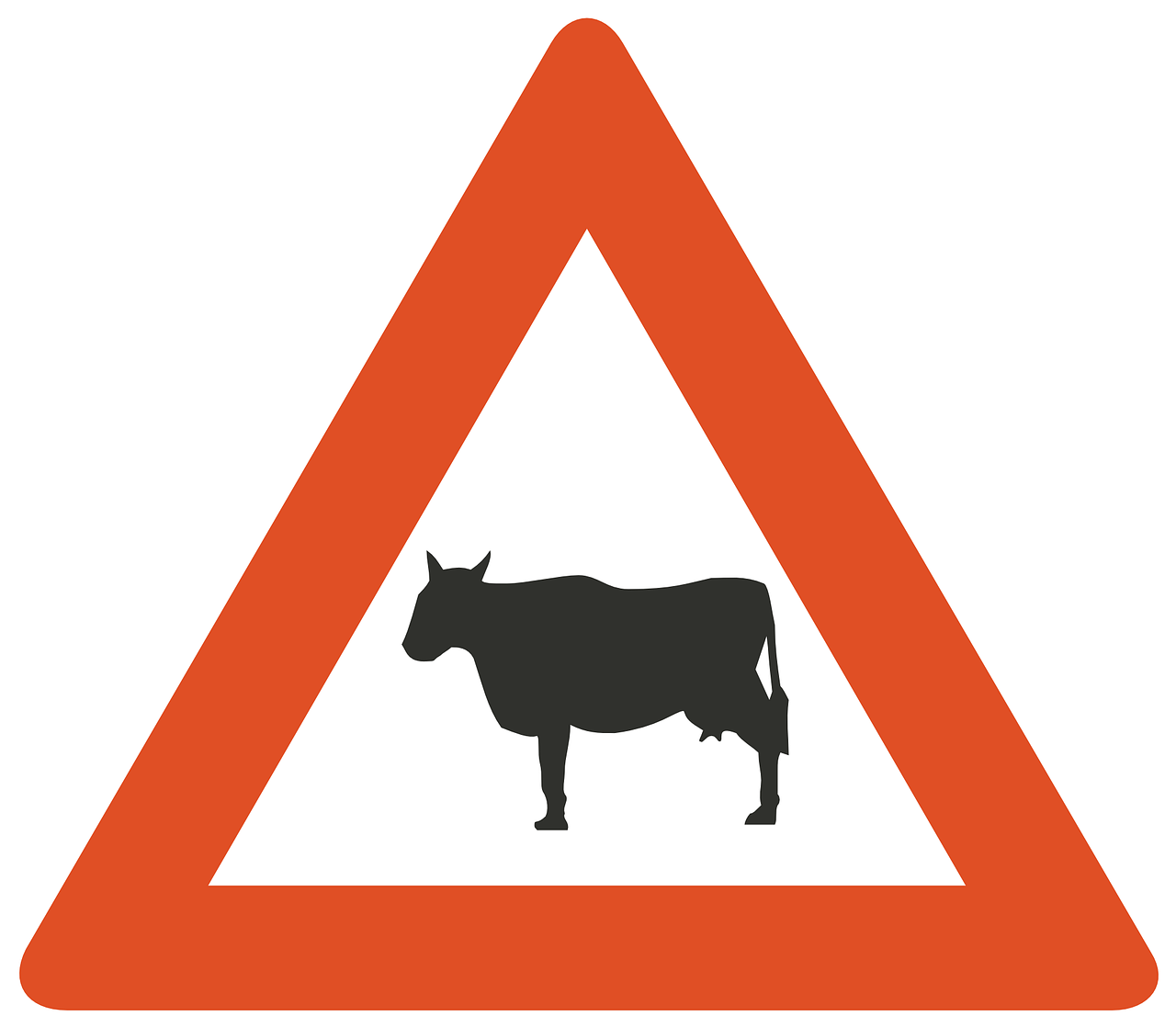 road information cattle free photo