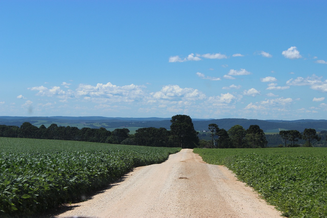 road nature farm free photo