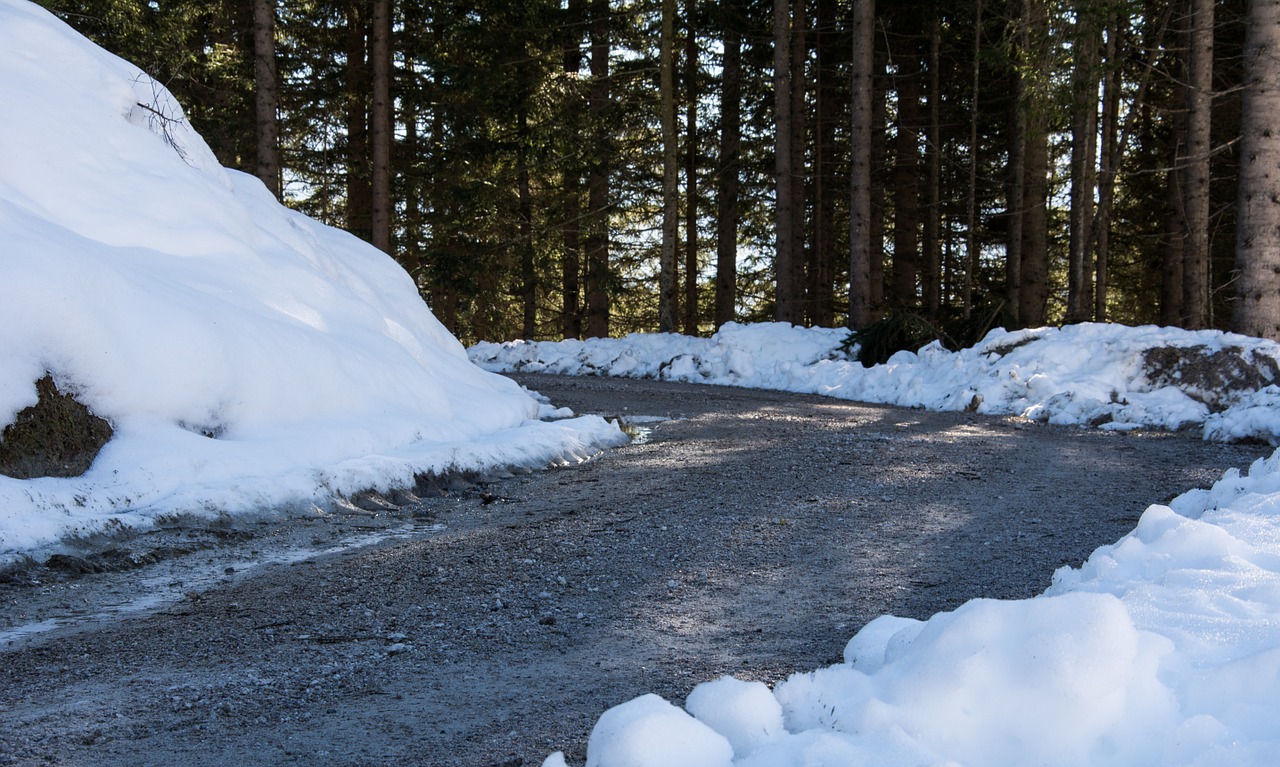 road winter wintry free photo