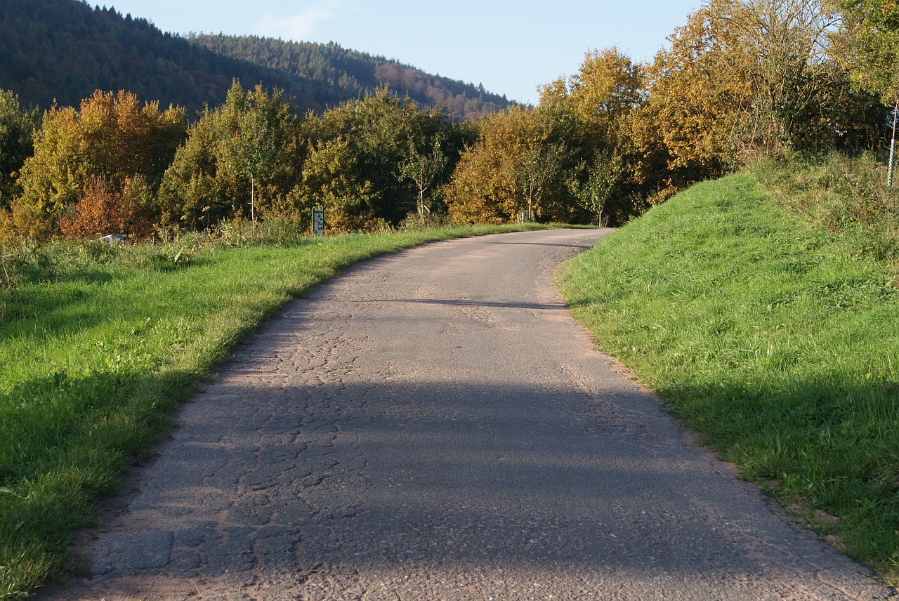 road the curve of road away free photo