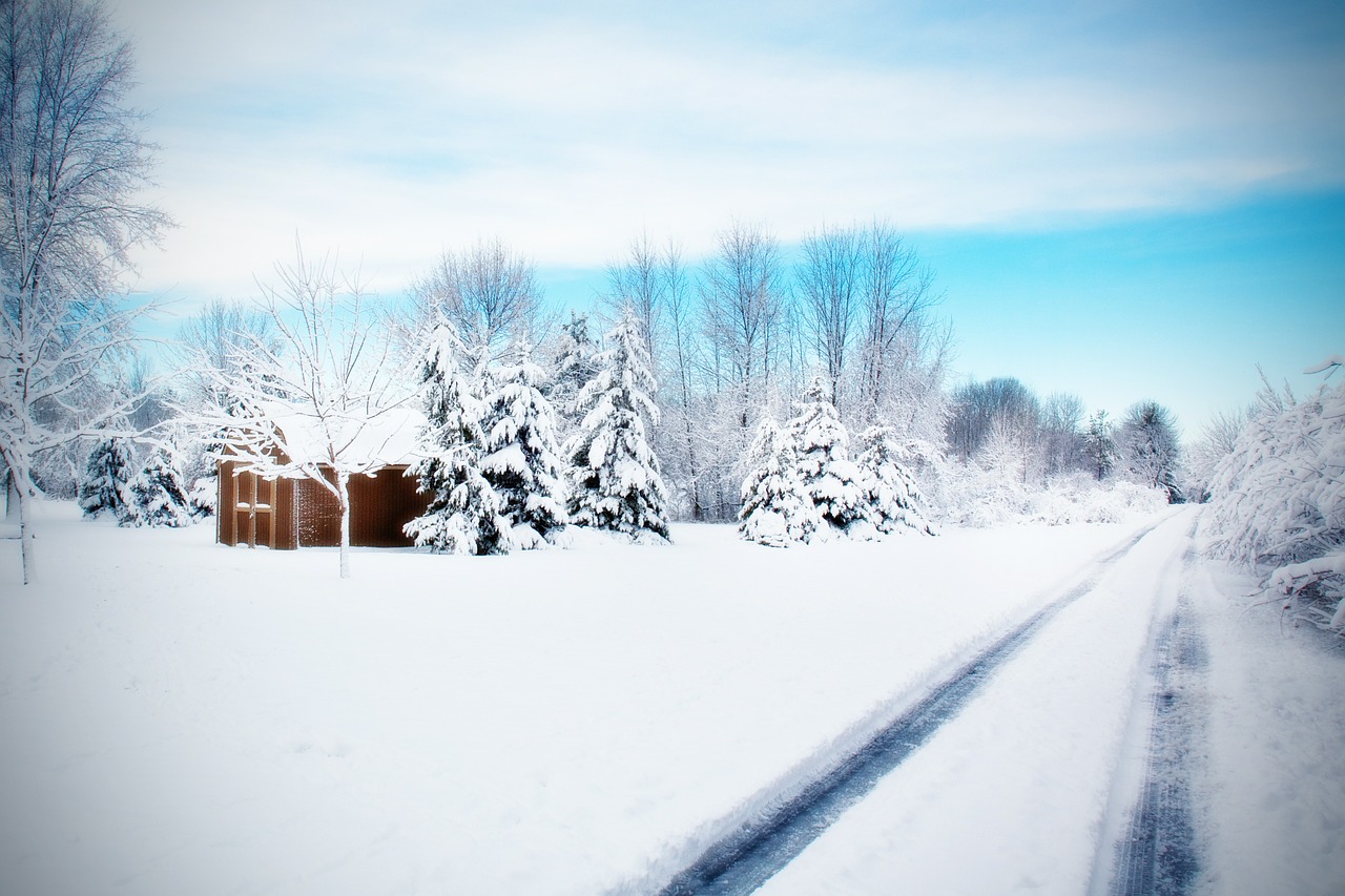 road snowy road winter free photo