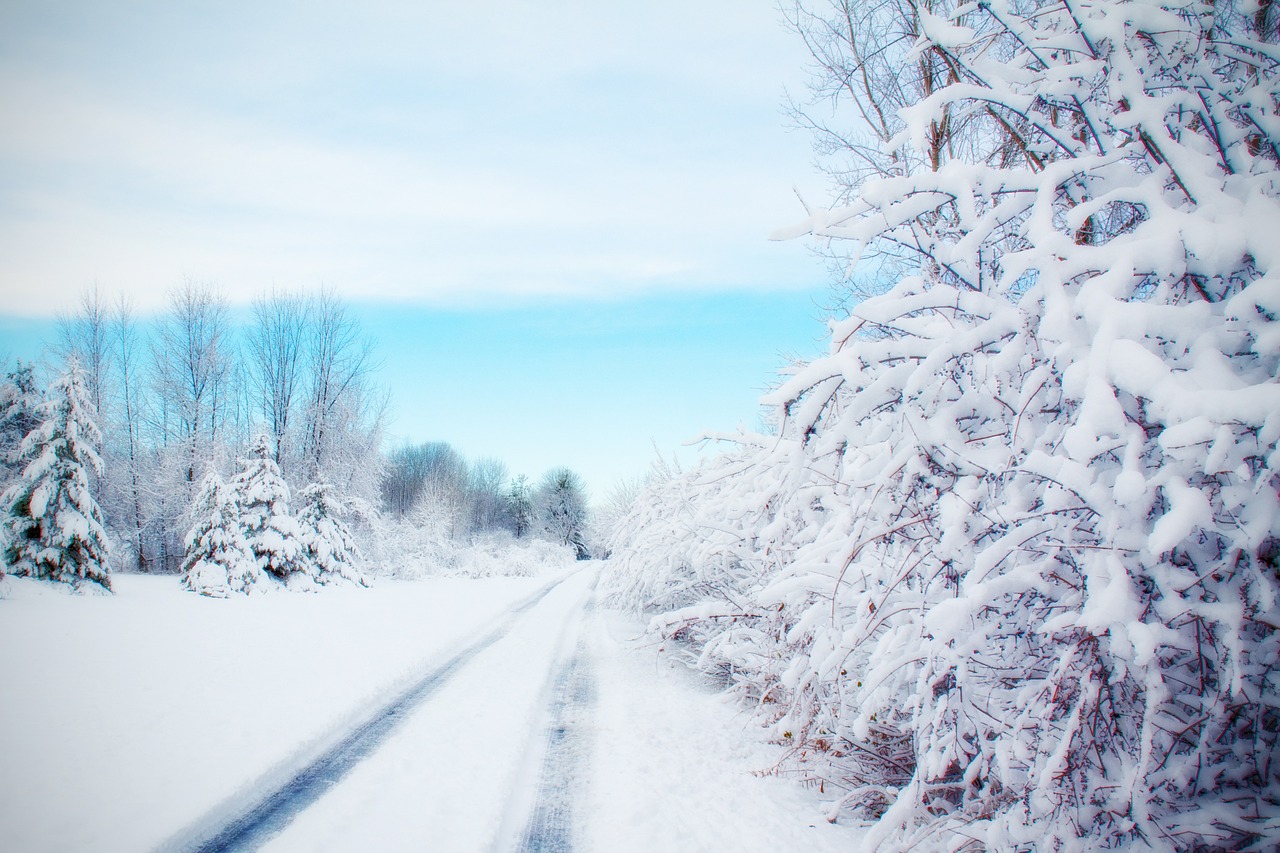 road snowy road winter free photo