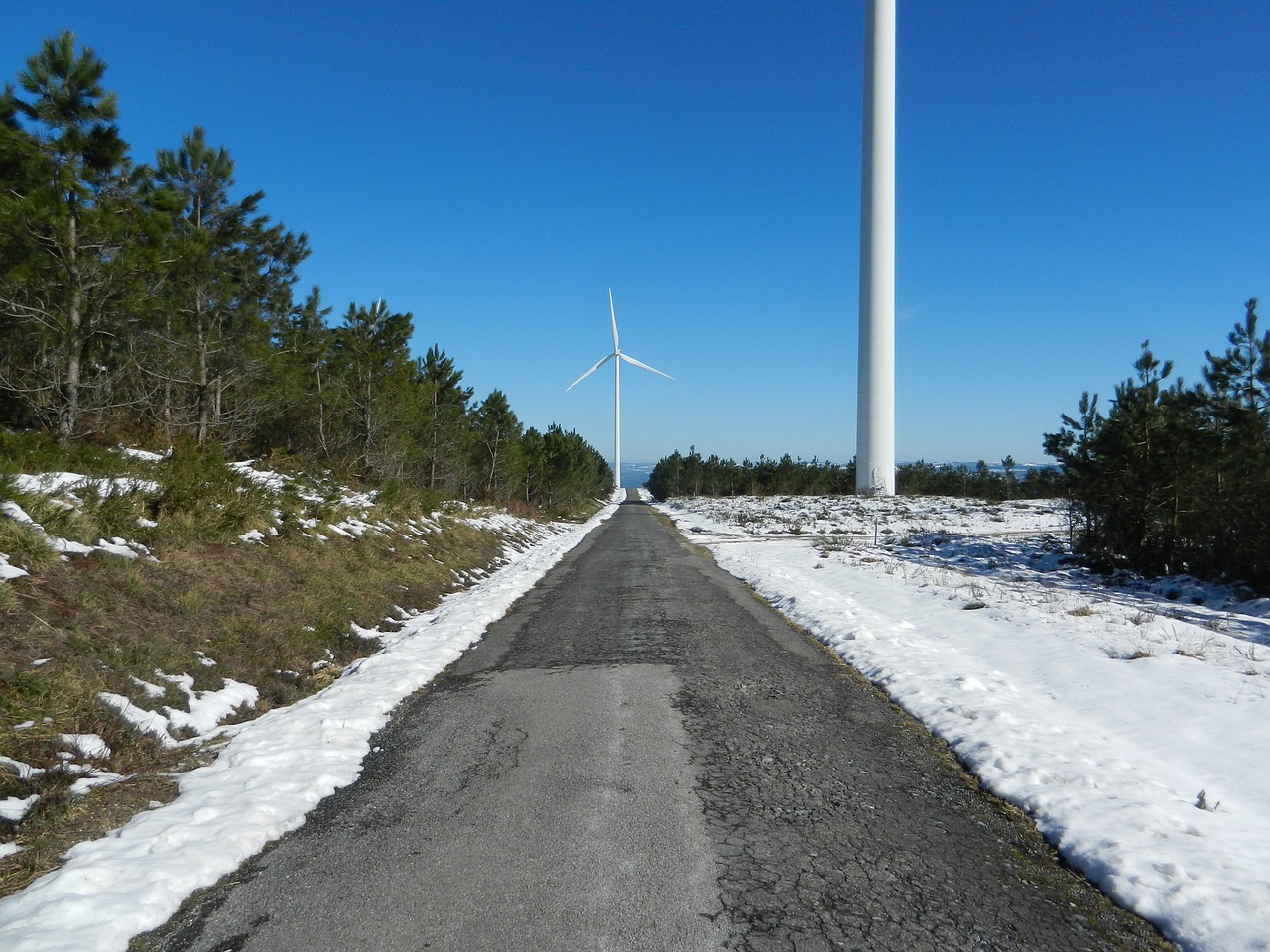 road snow winter free photo