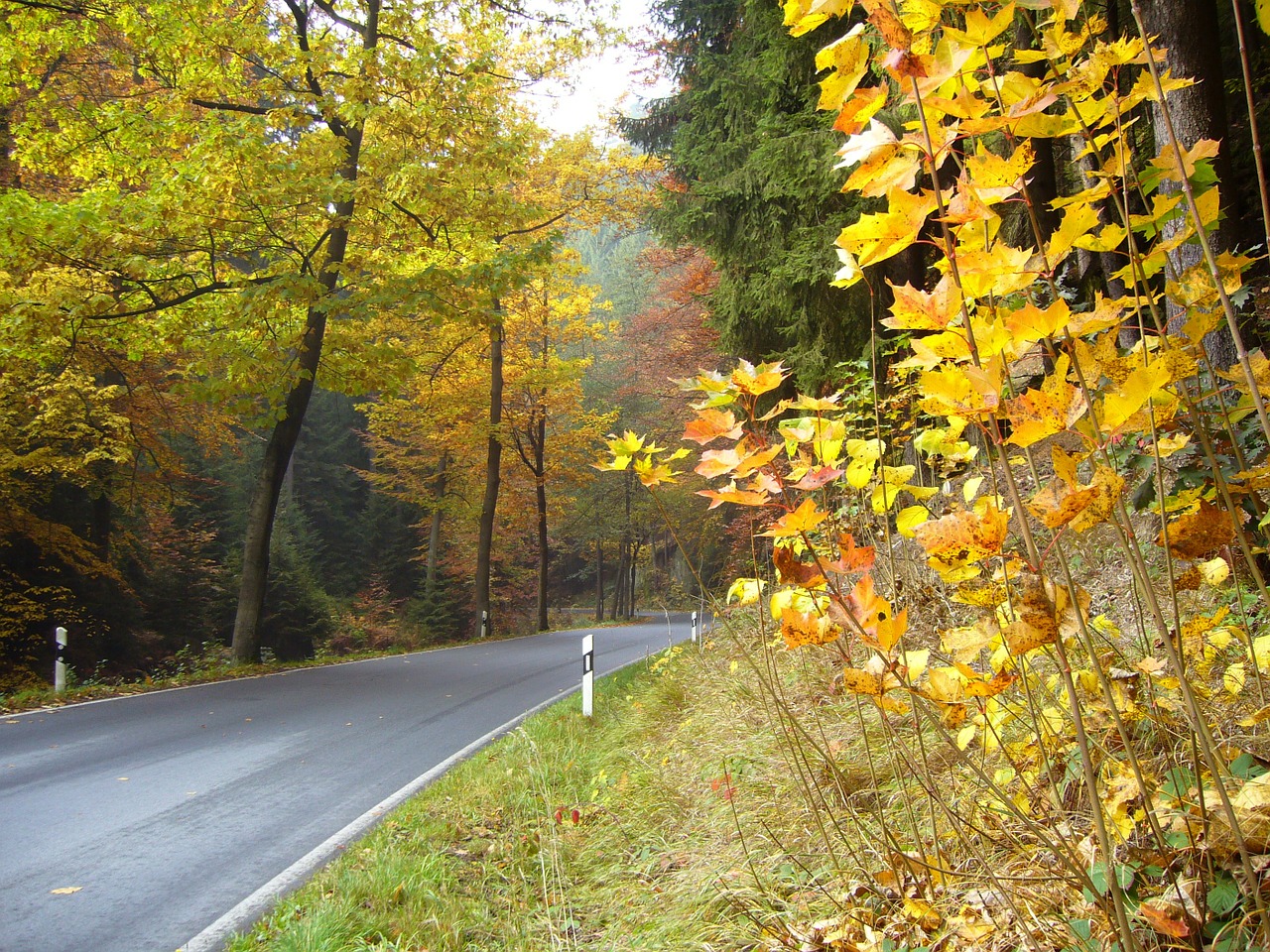 road traffic kirnitzschtal free photo