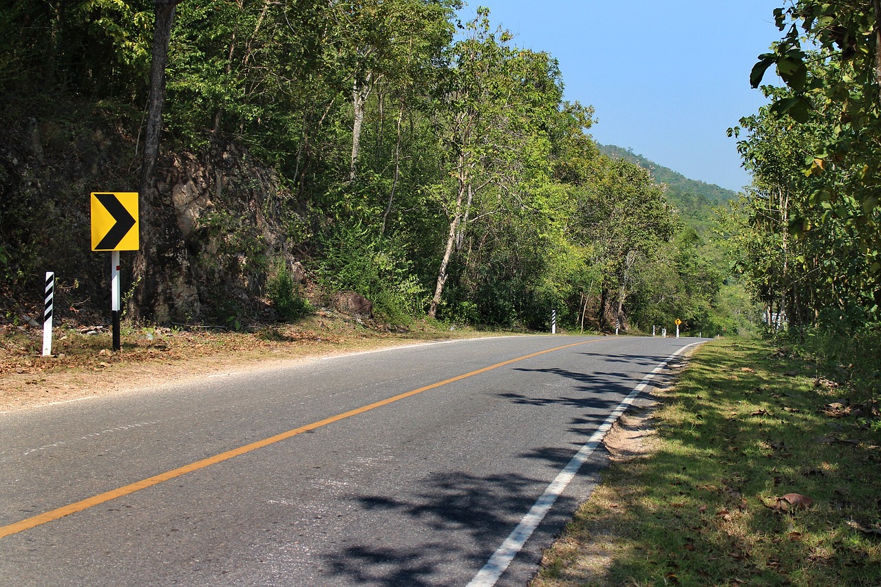 road way trees free photo