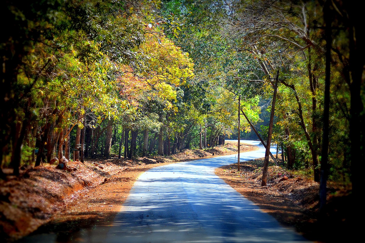 road beautiful nature free photo