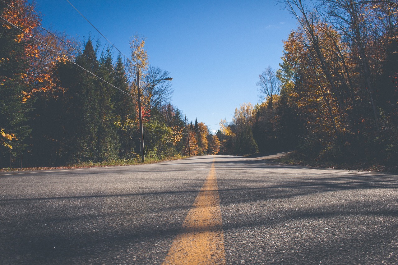 road pavement street free photo