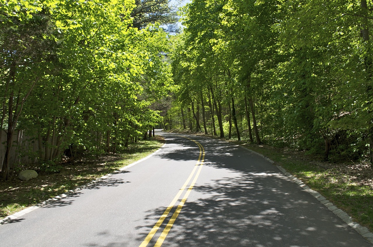 road woods nature free photo