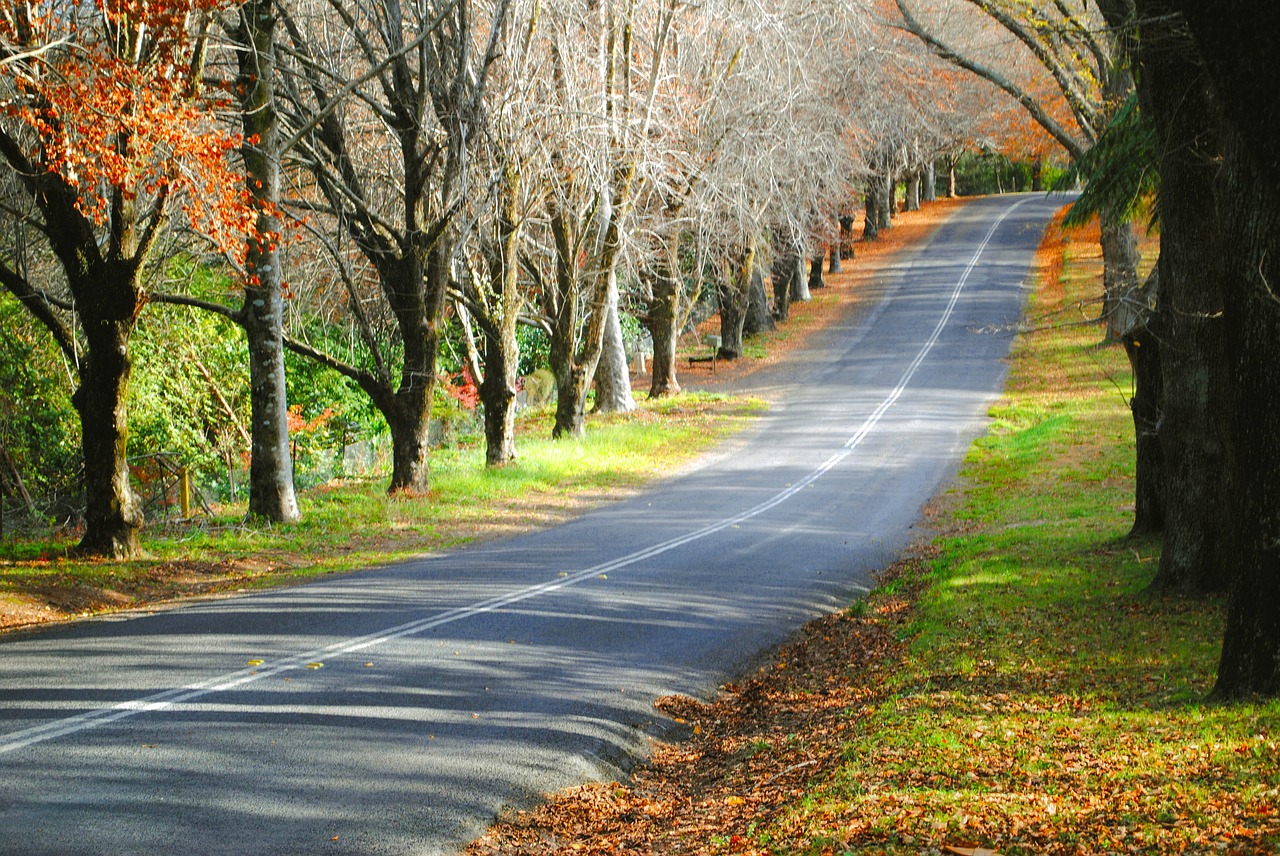 road street autumn free photo