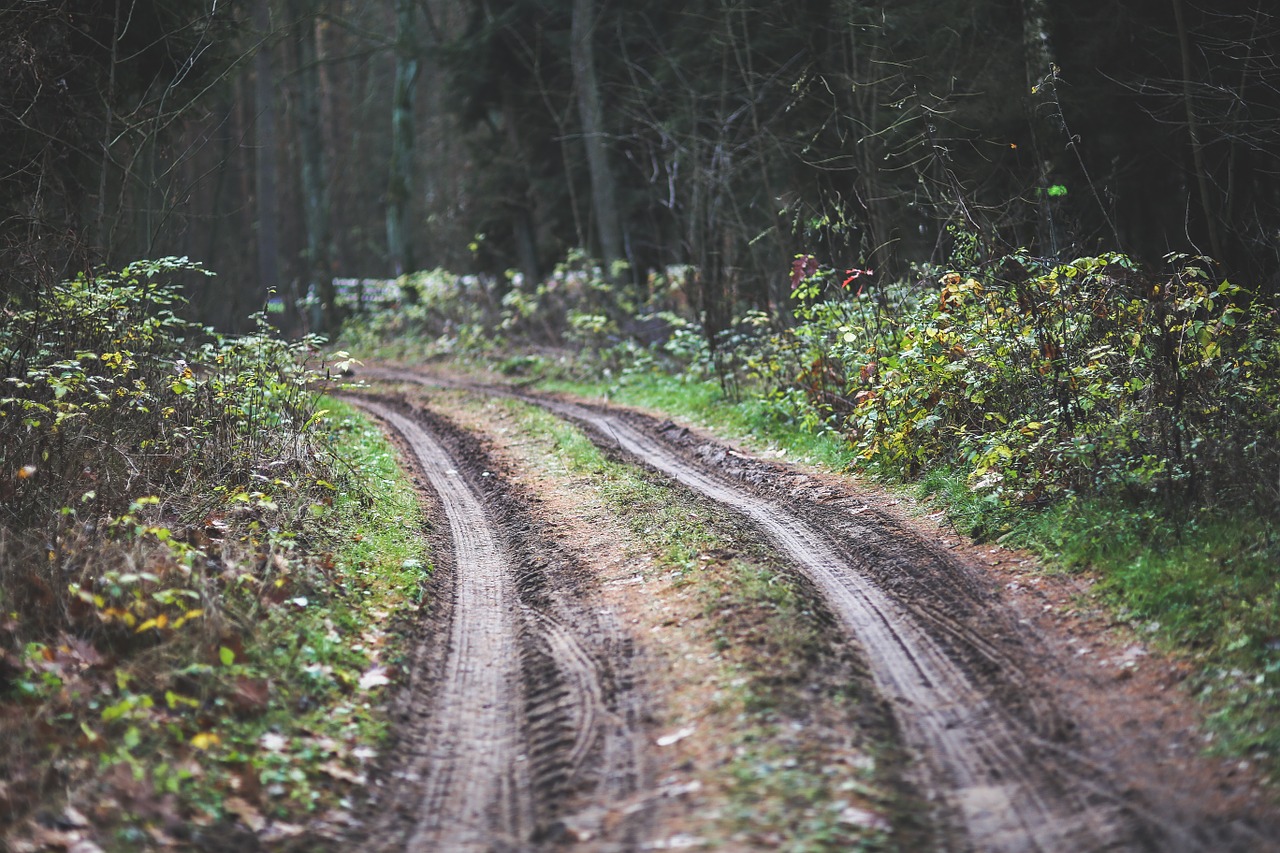 road way path free photo