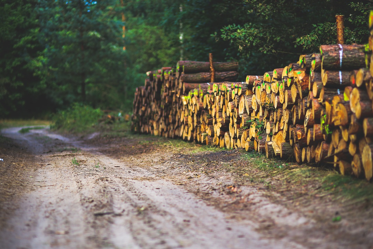 road way path free photo