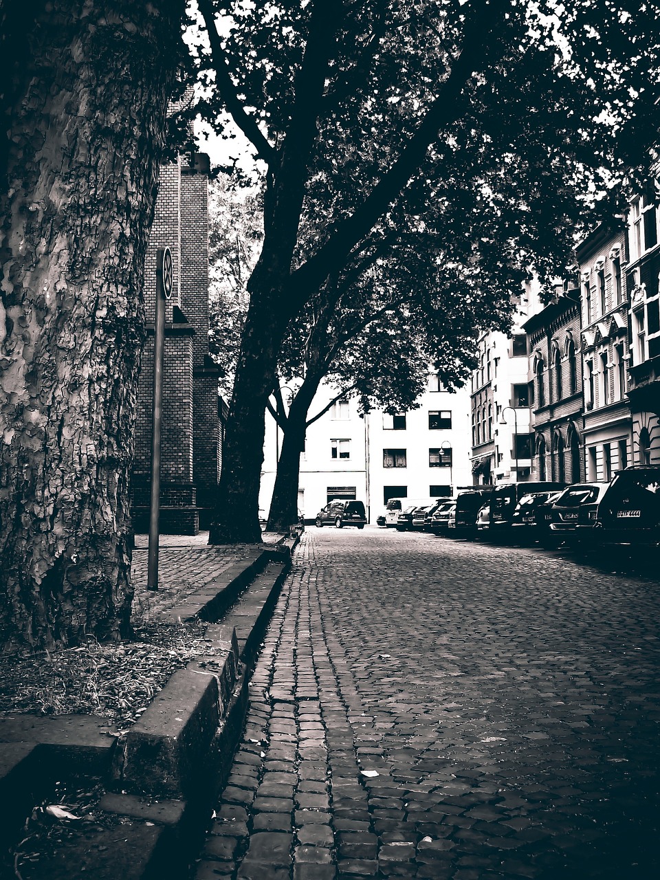 road cobblestones black and white free photo