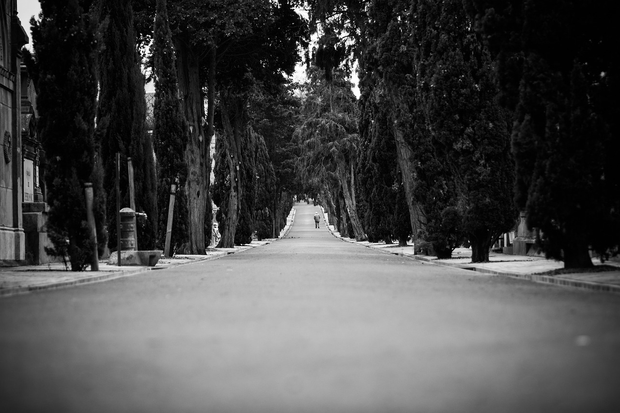 road lonely neighbor free photo