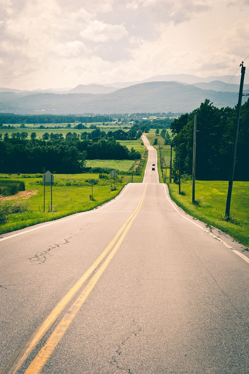 road pavement green free photo