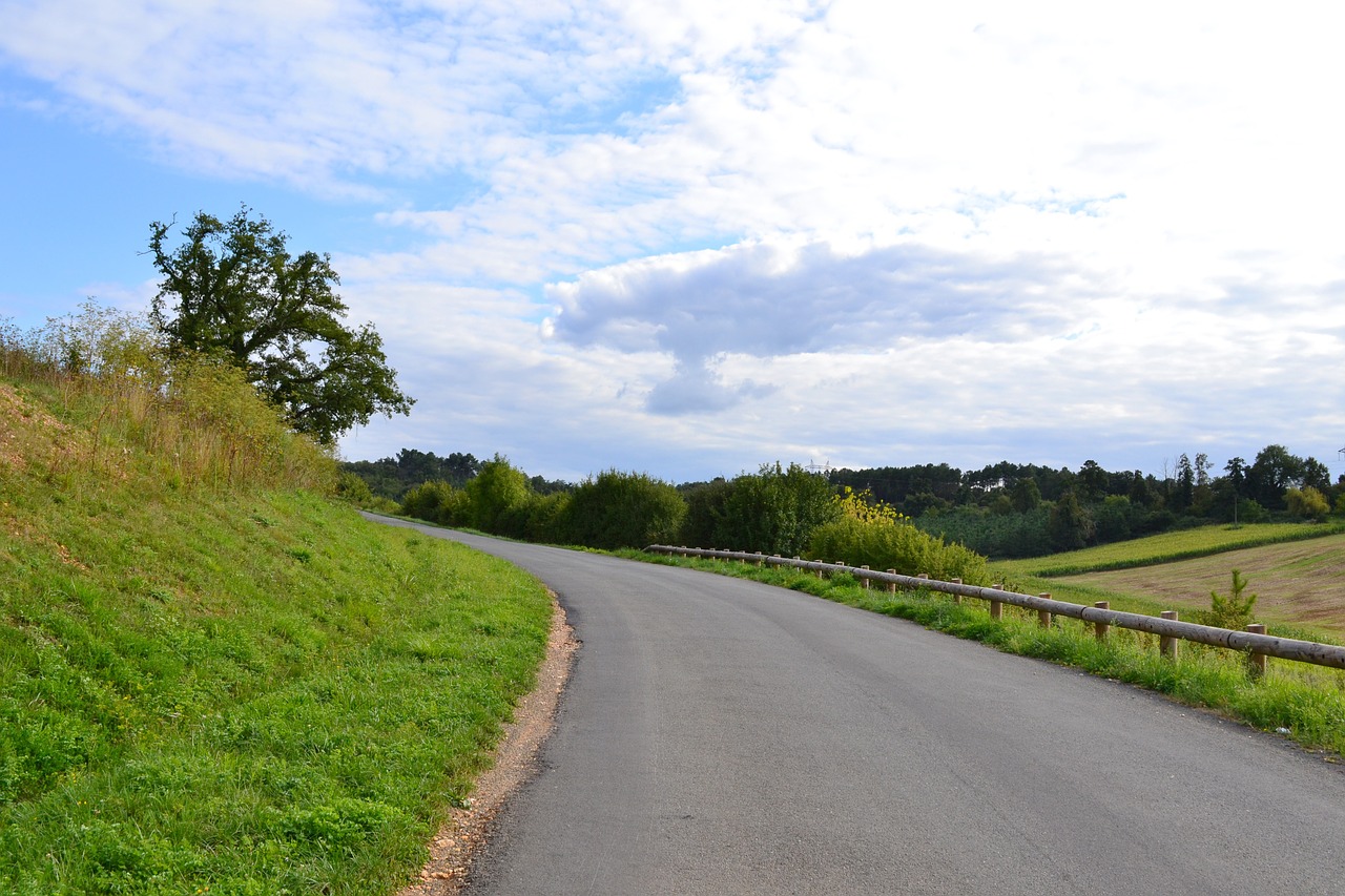 road path nature free photo