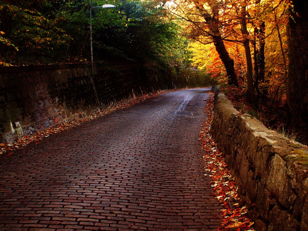 road bricks trees free photo